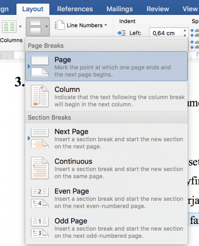 Mynd um valmöguleika á Page Breaks í Word.
